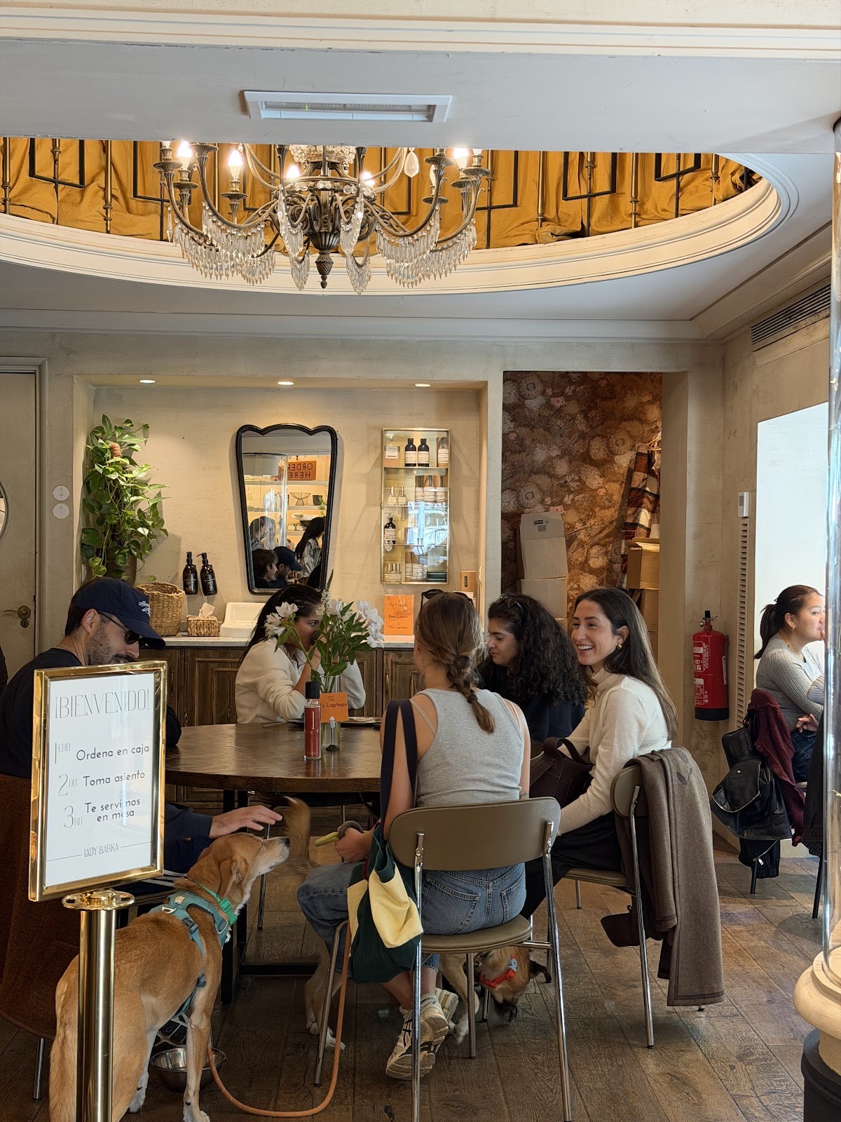 LADY BABKA: the place