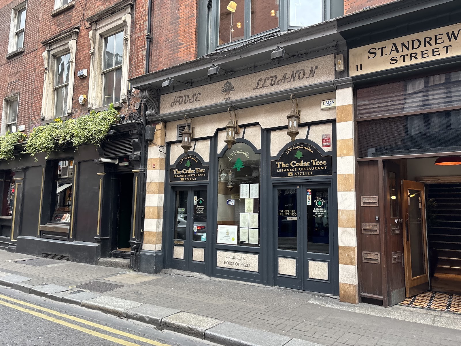 The Cedar Tree: the place
