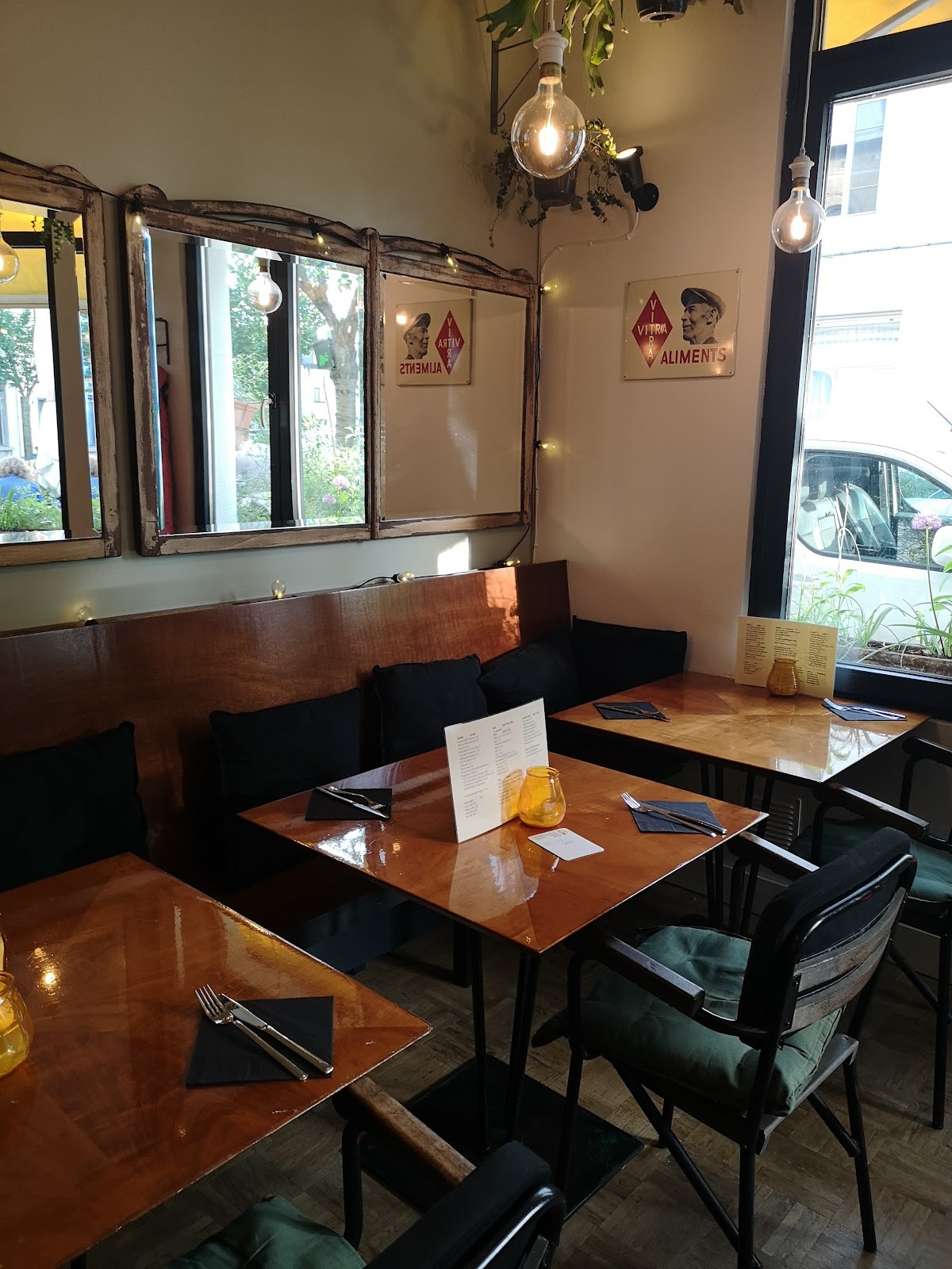 Vitis: the place