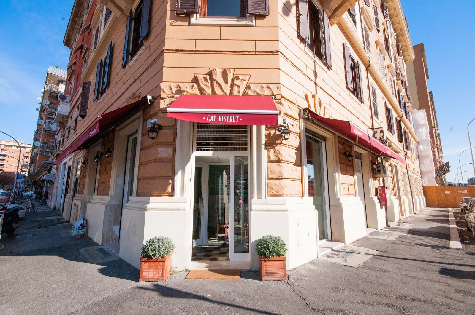 Romeow Cat Bistrot: the place