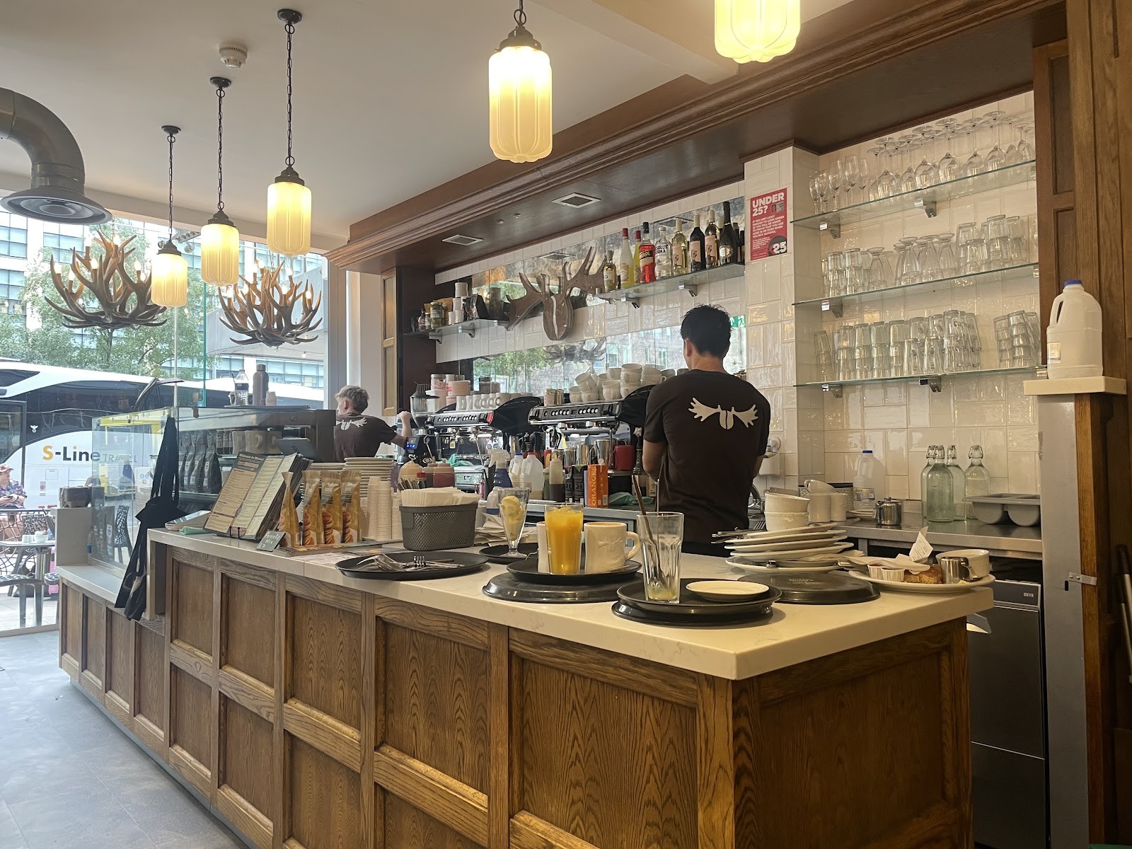 Moose Coffee: the place