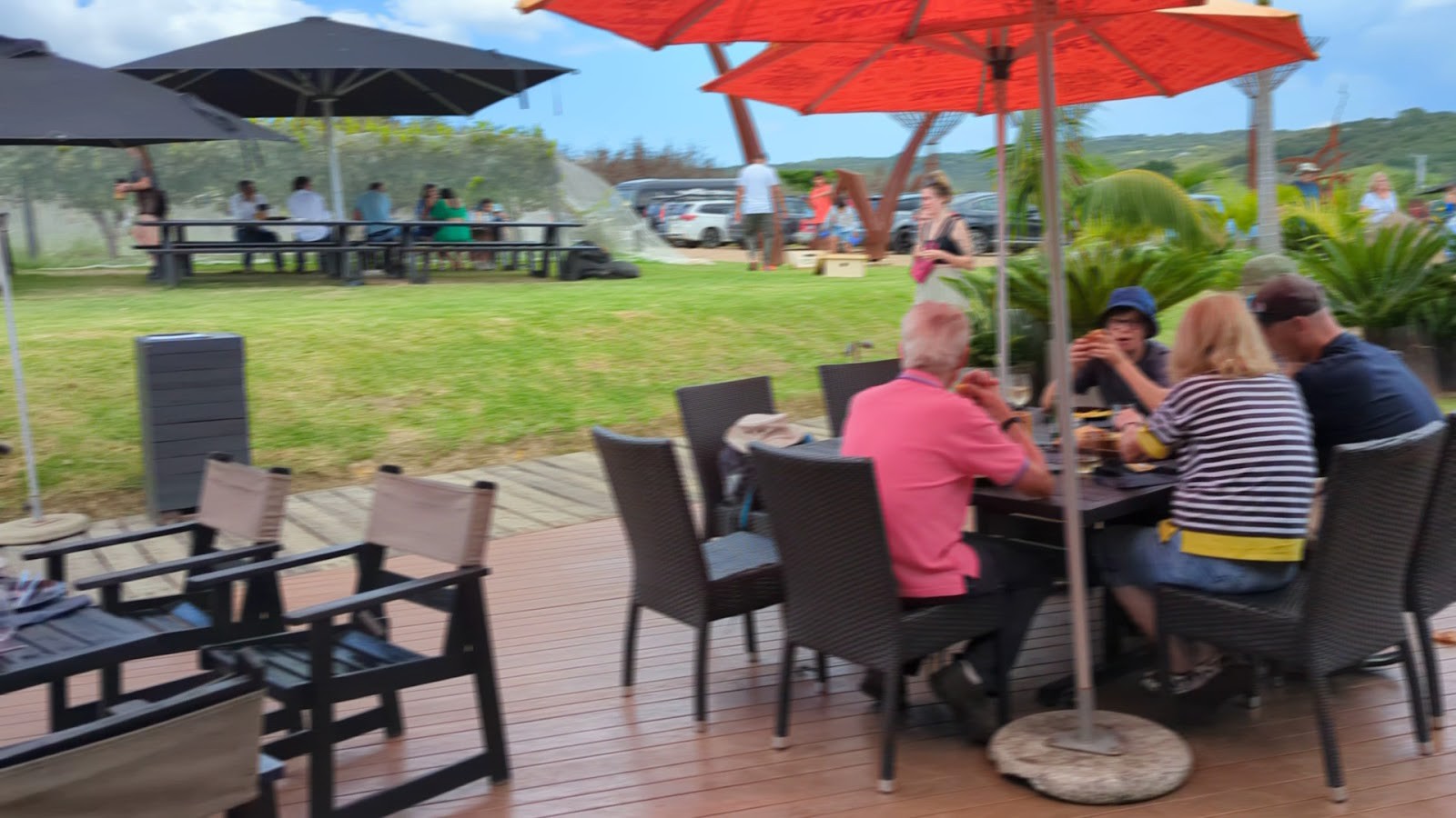 Wild Estate - The Untamed Winery: the place