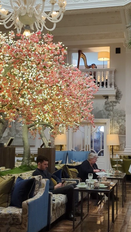 Palm Court: photo 4