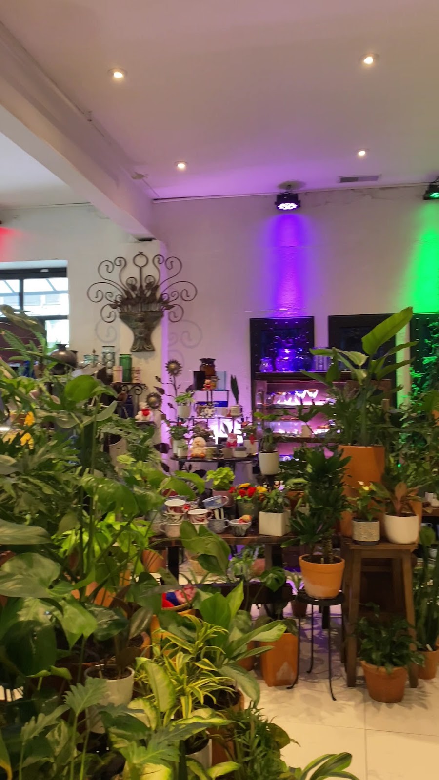 Artesano Cafe: the place