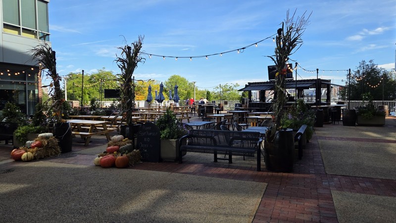 Blackmoor Bar and Kitchen: photo