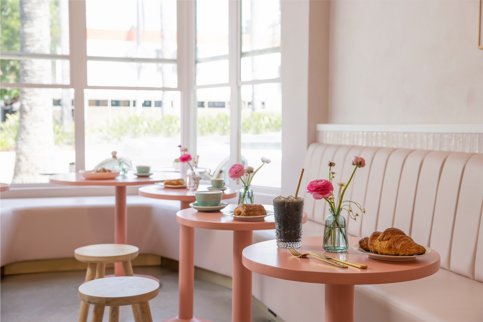 Coffee and Plants: the place