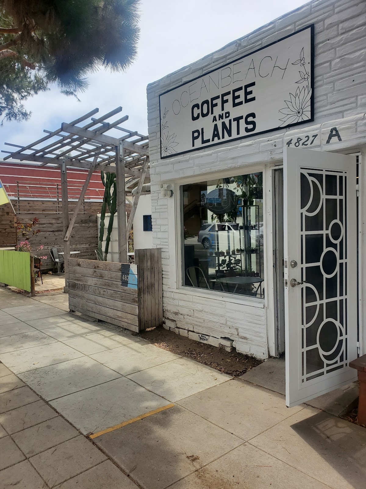 Ocean Beach Coffee and Plants: the place
