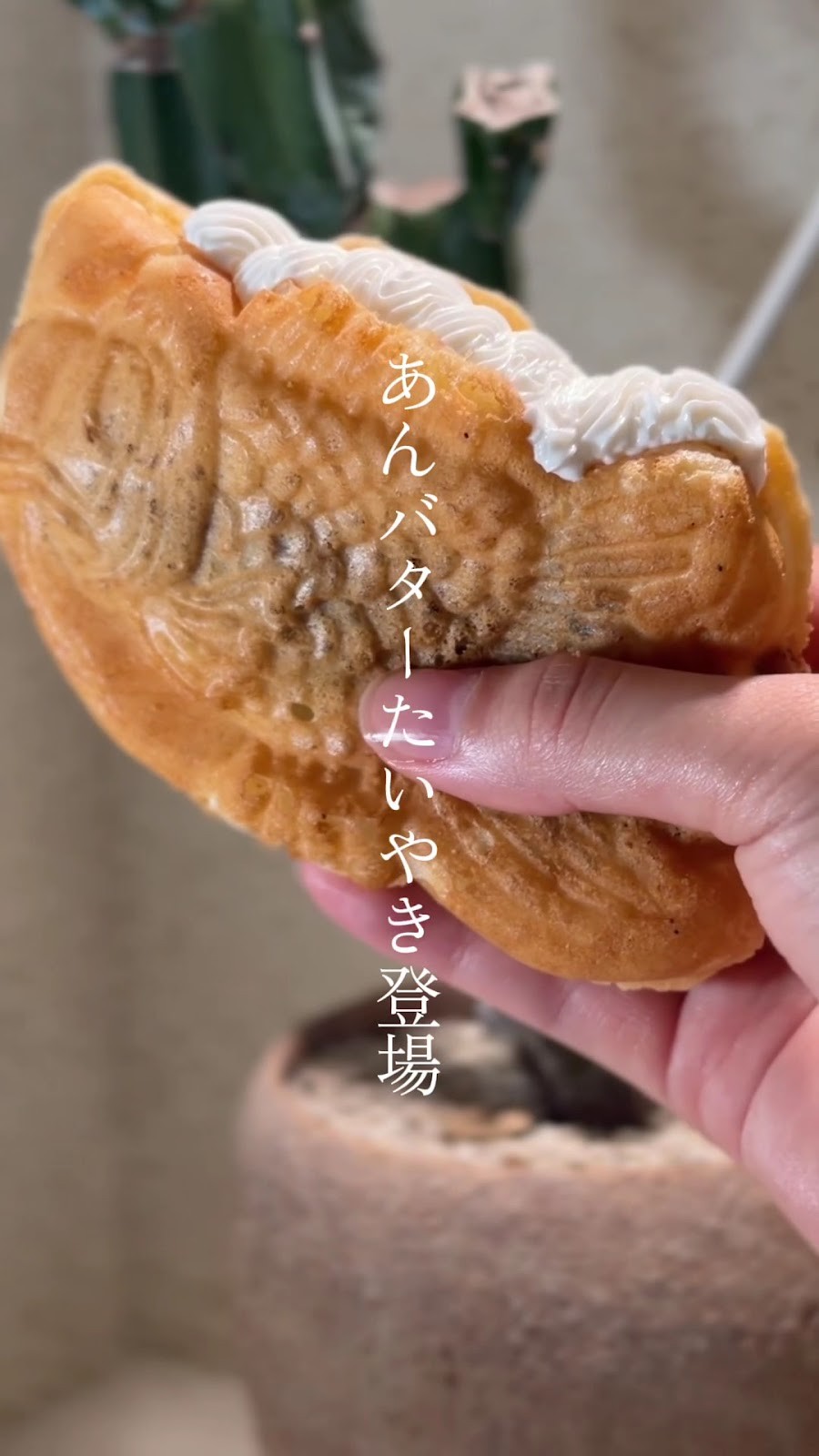 TOKYO TAIYAKI MANIA Asagaya Lab: food & drinks