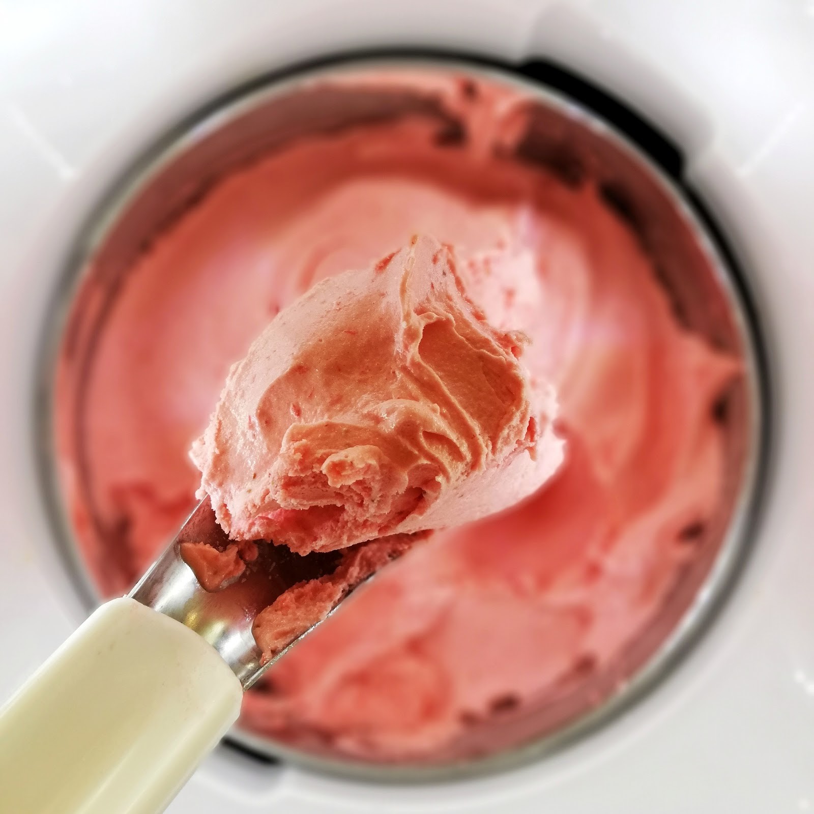 Amato Gelateria & Caffé - U Itala: food & drinks