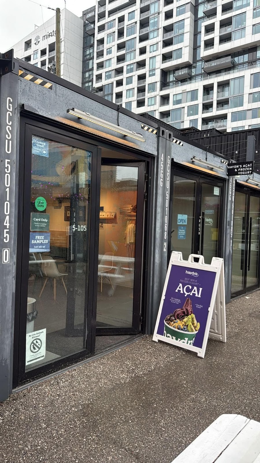 Haydn's Açaí & Frozen Yogurt: the place