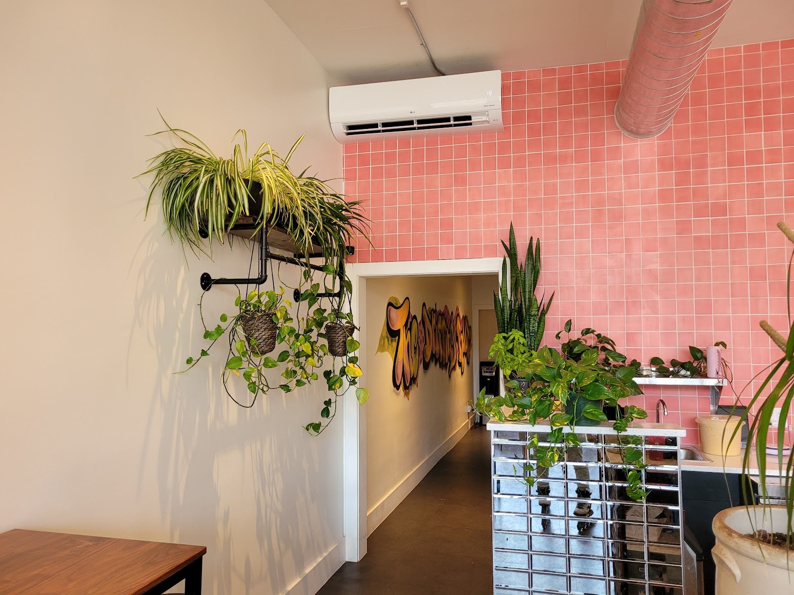 The Dripping Root: the place