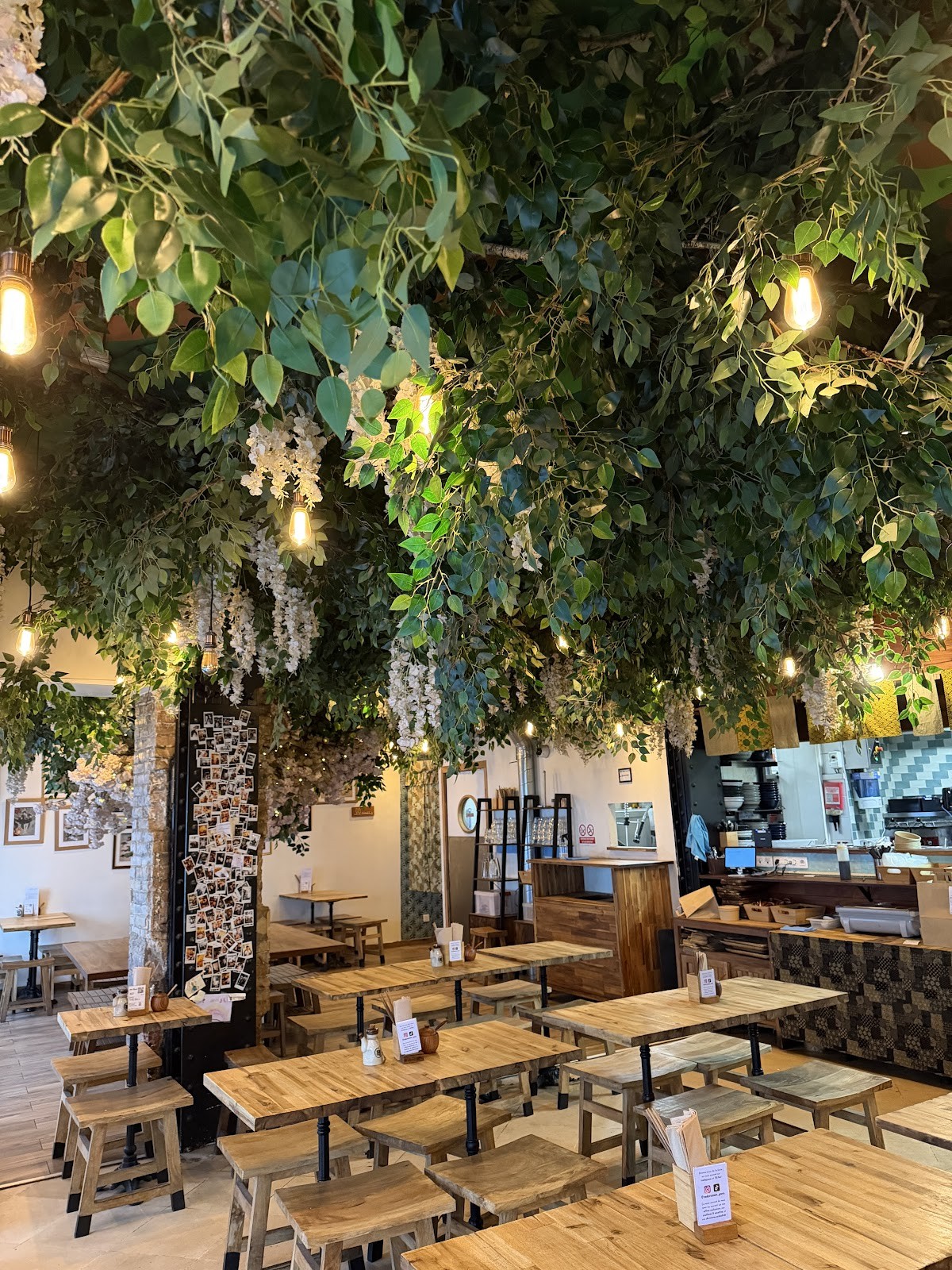 Neko Ramen Green: the place