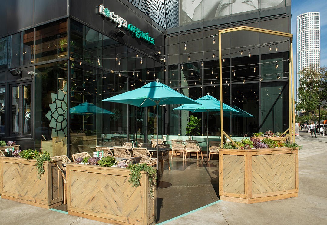 Tocaya Modern Mexican: the place