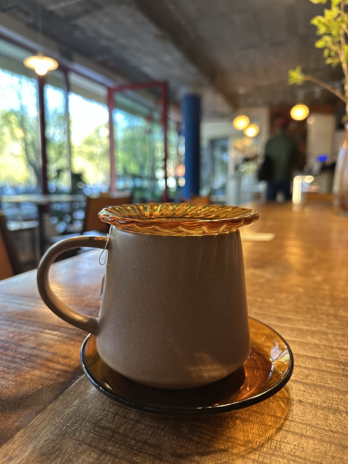 Zgoda Cafe: food & drinks