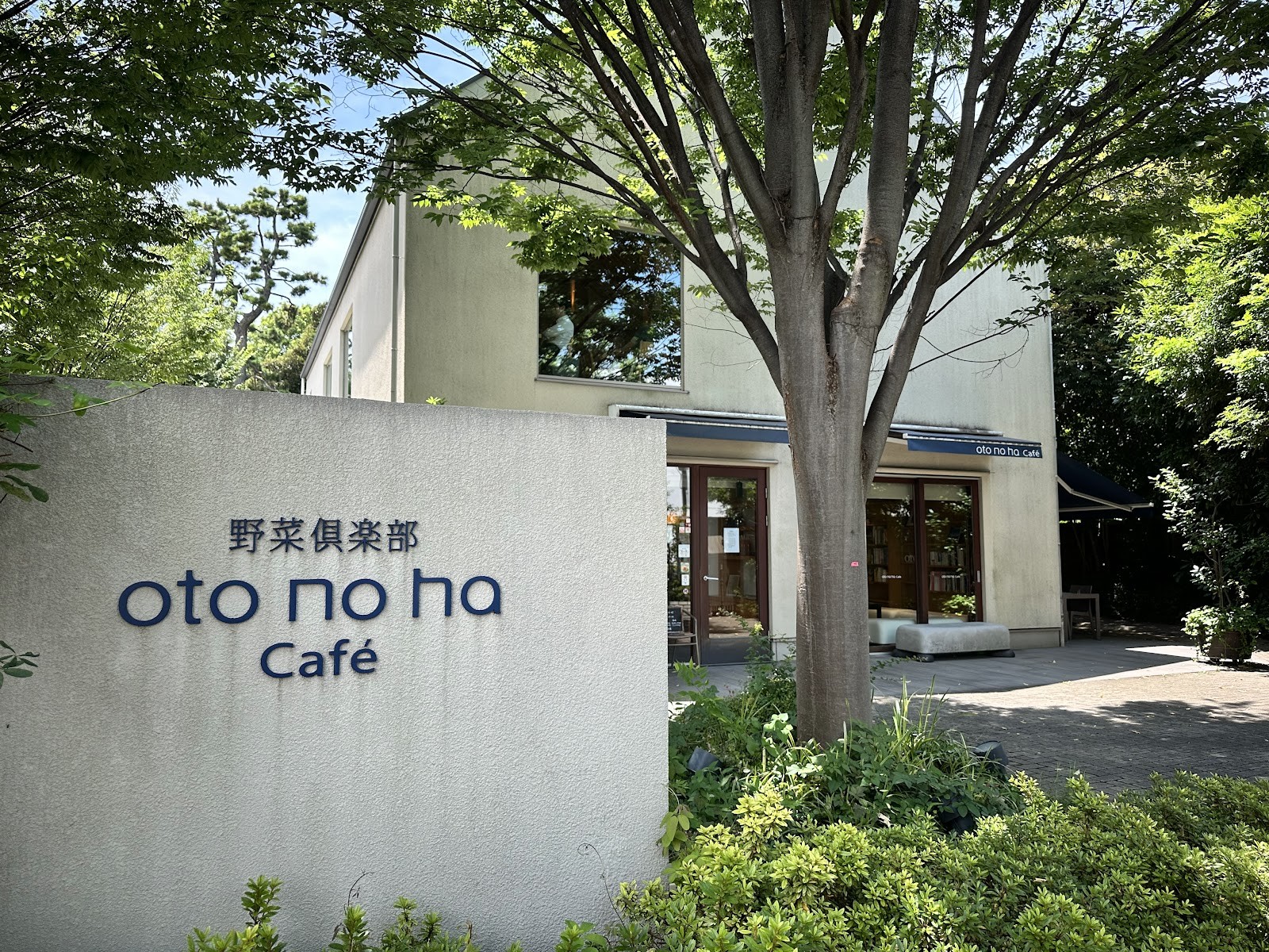 Vegetable club oto no ha Café: the place