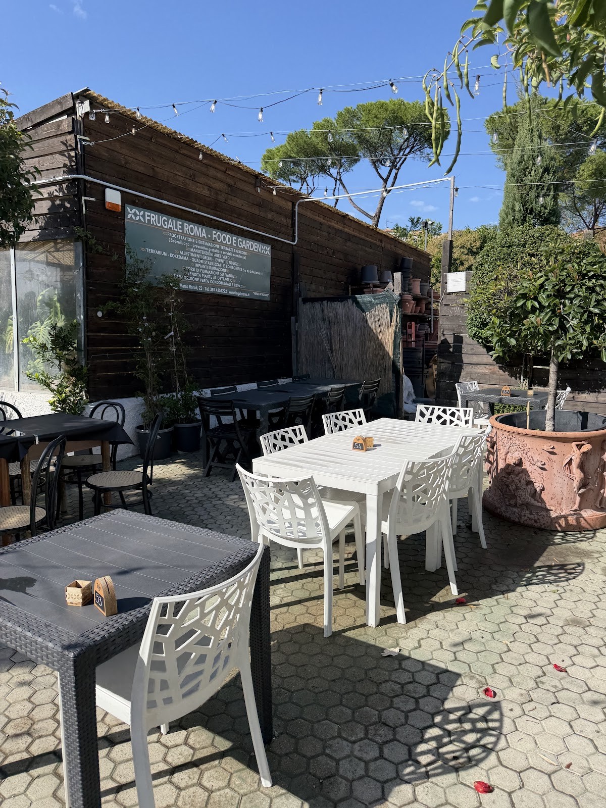 Frugale Roma Food Garden: the place