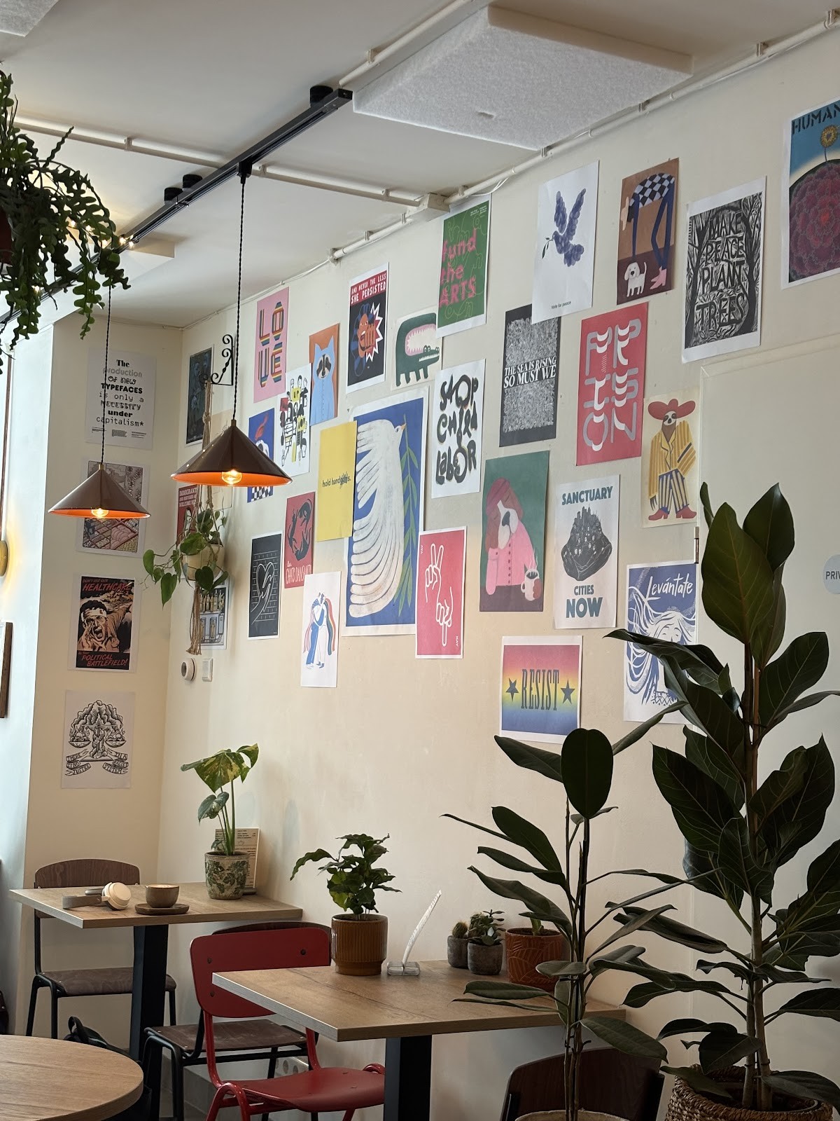 Sol coffee bar: the place