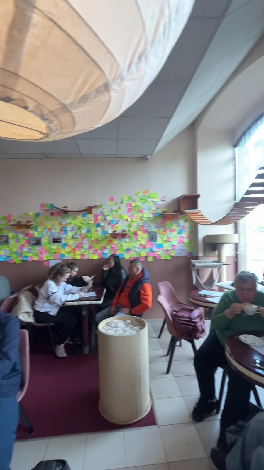 Cat Café Kociarnia: the place