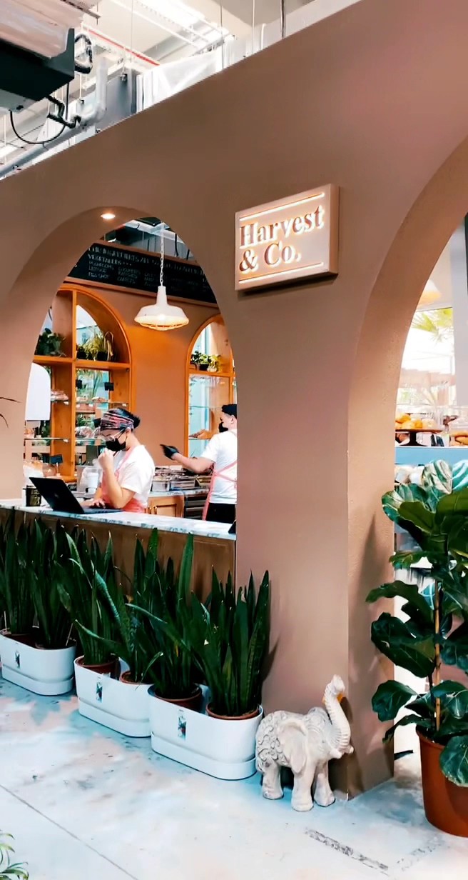 Harvest & Co - Dubai Garden Centre: the place