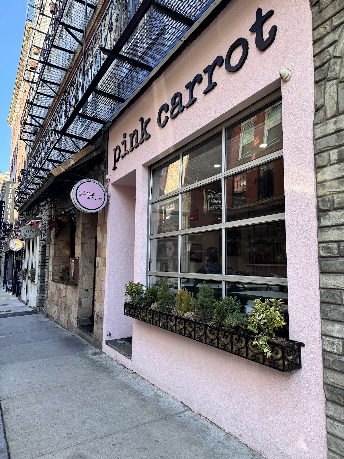 Pink Carrot: the place