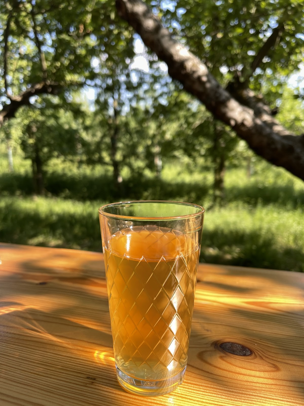 Obsthof am Steinberg: food & drinks
