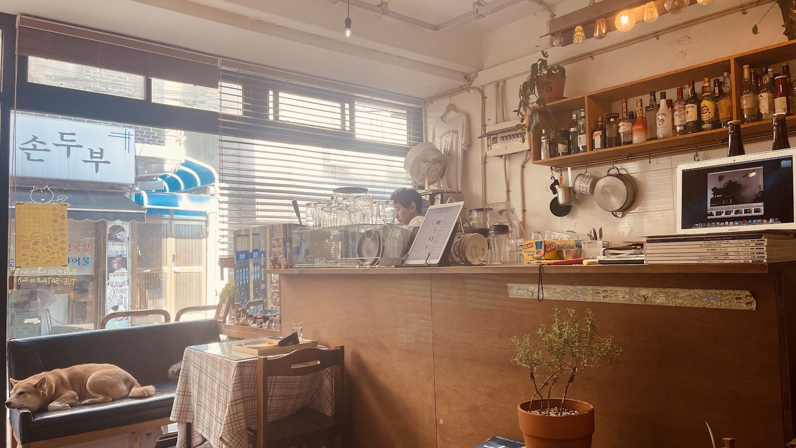 Mustard - 머스타드: the place