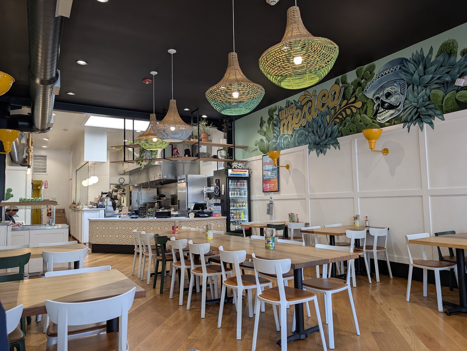 The Little Chihuahua: the place