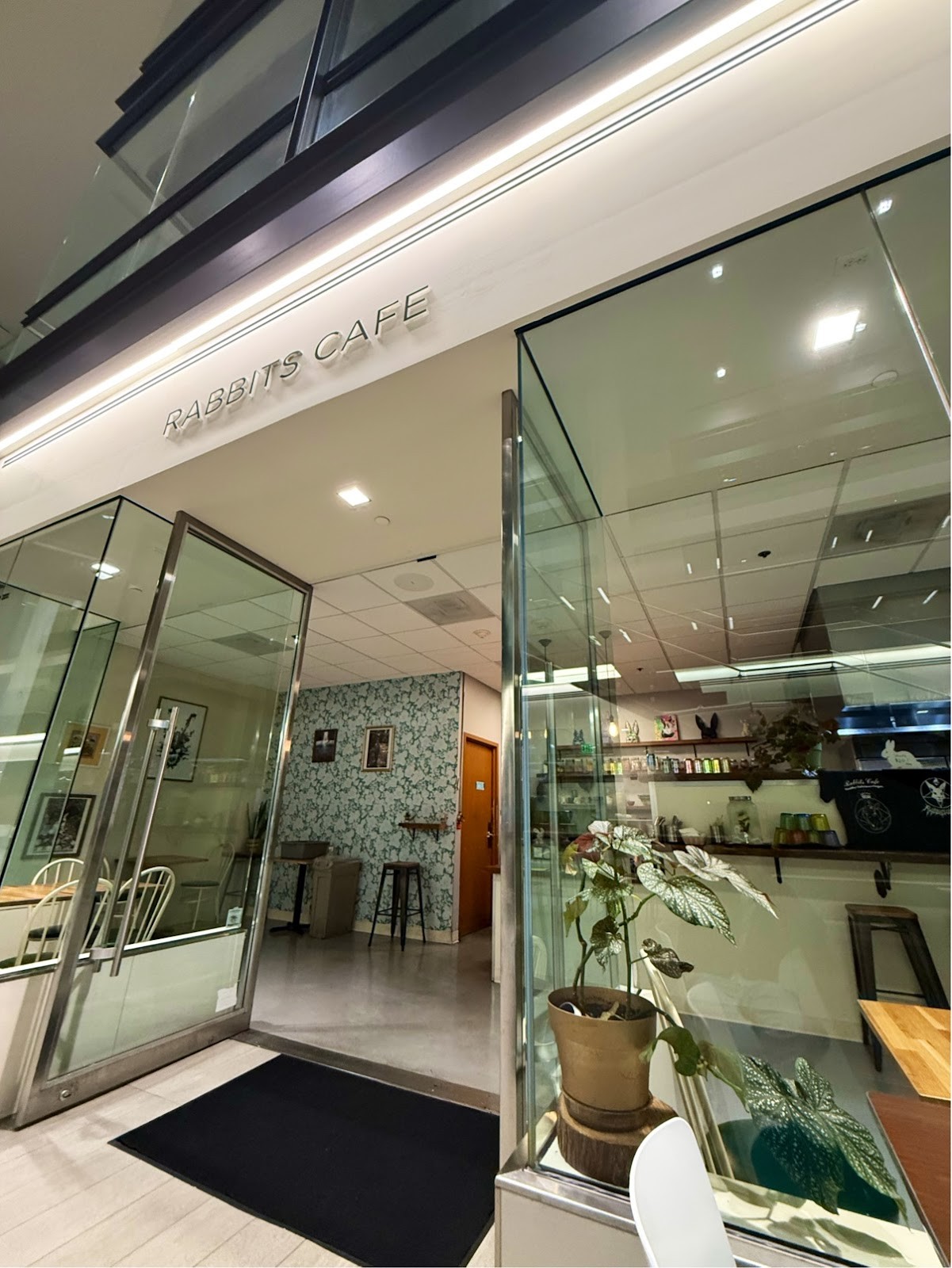 Rabbits Cafe: the place