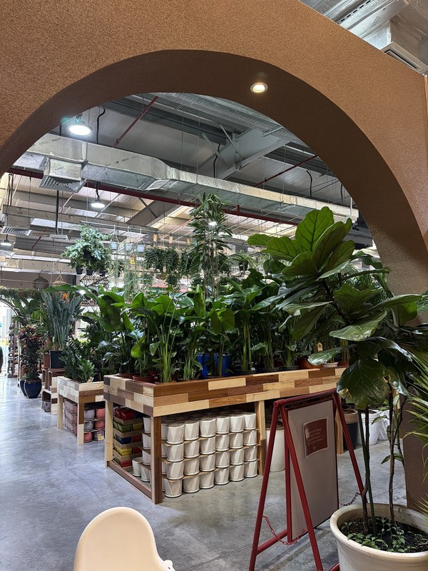 Harvest & Co - Dubai Garden Centre: photo 4