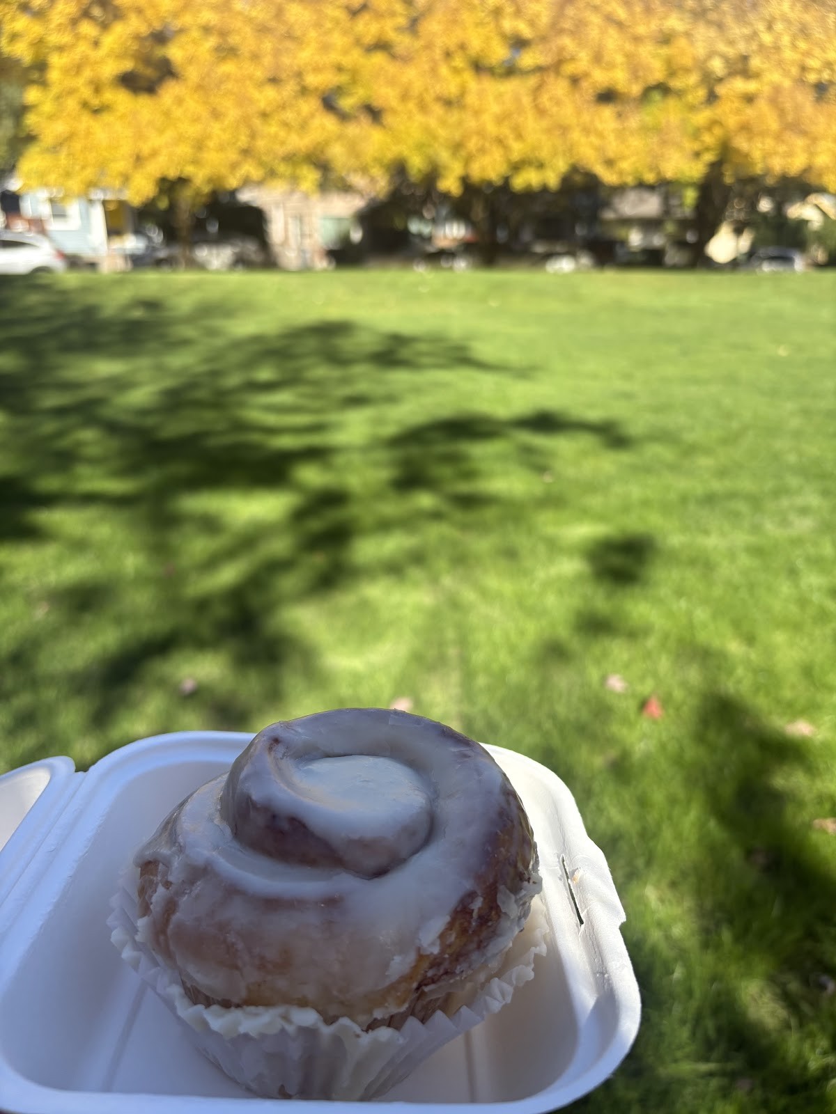 Catscratch Co-op Vegan Bakery: food & drinks