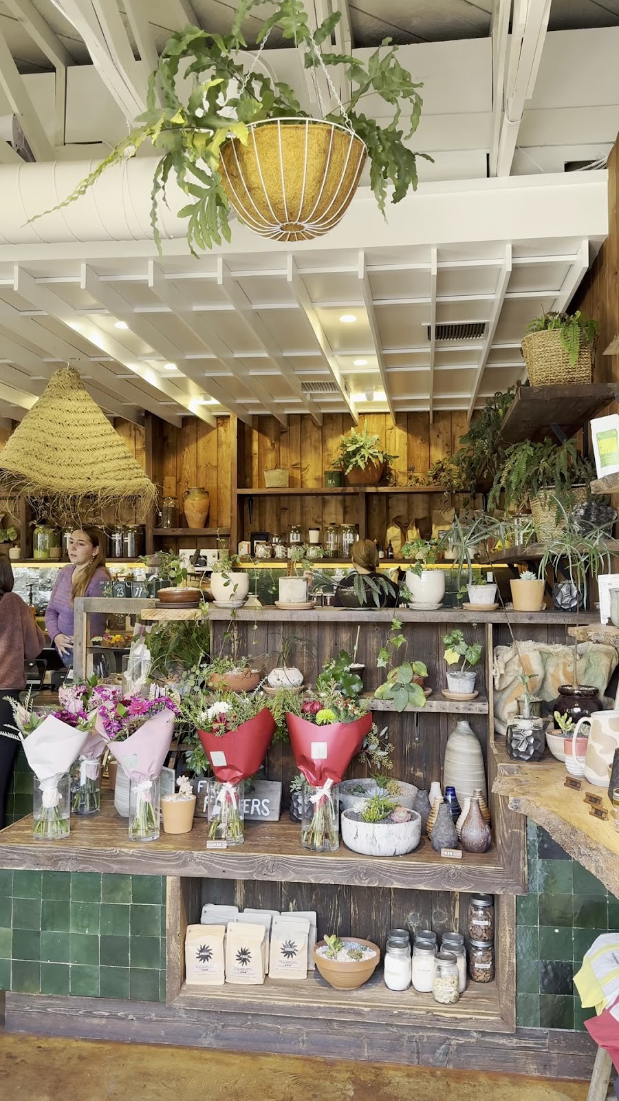 The Barista Botanist: the place
