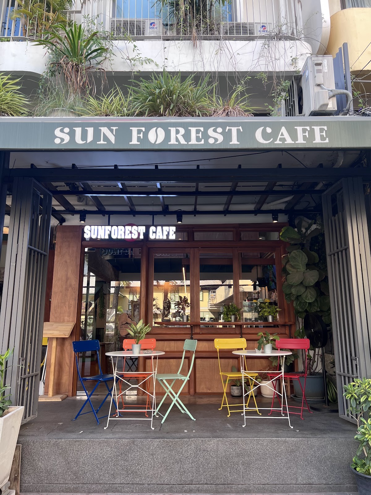 Sun Forest Cafe (Phraathit Branch): the place