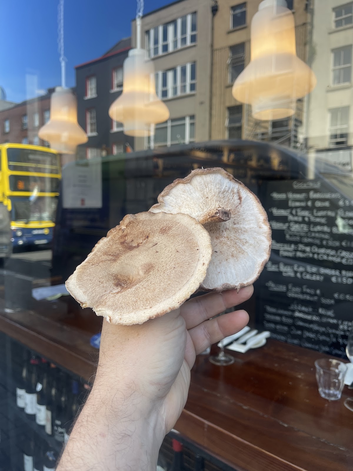 Mushroom Butcher: food & drinks