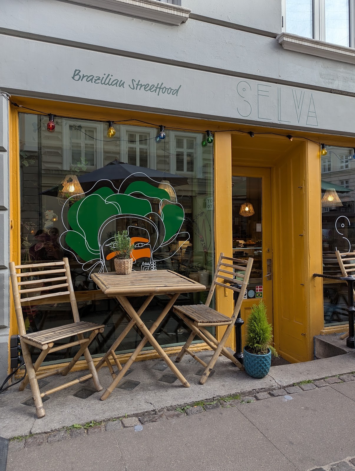 Selva: the place