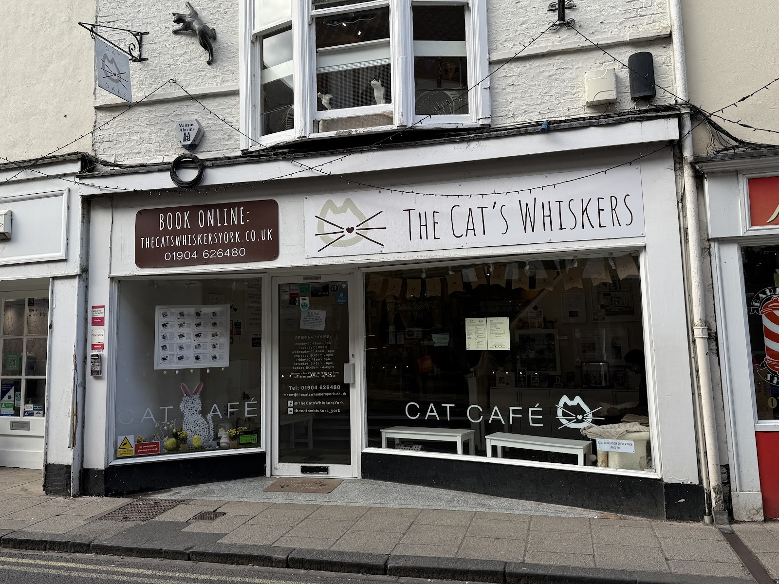 The Cat's Whiskers: the place