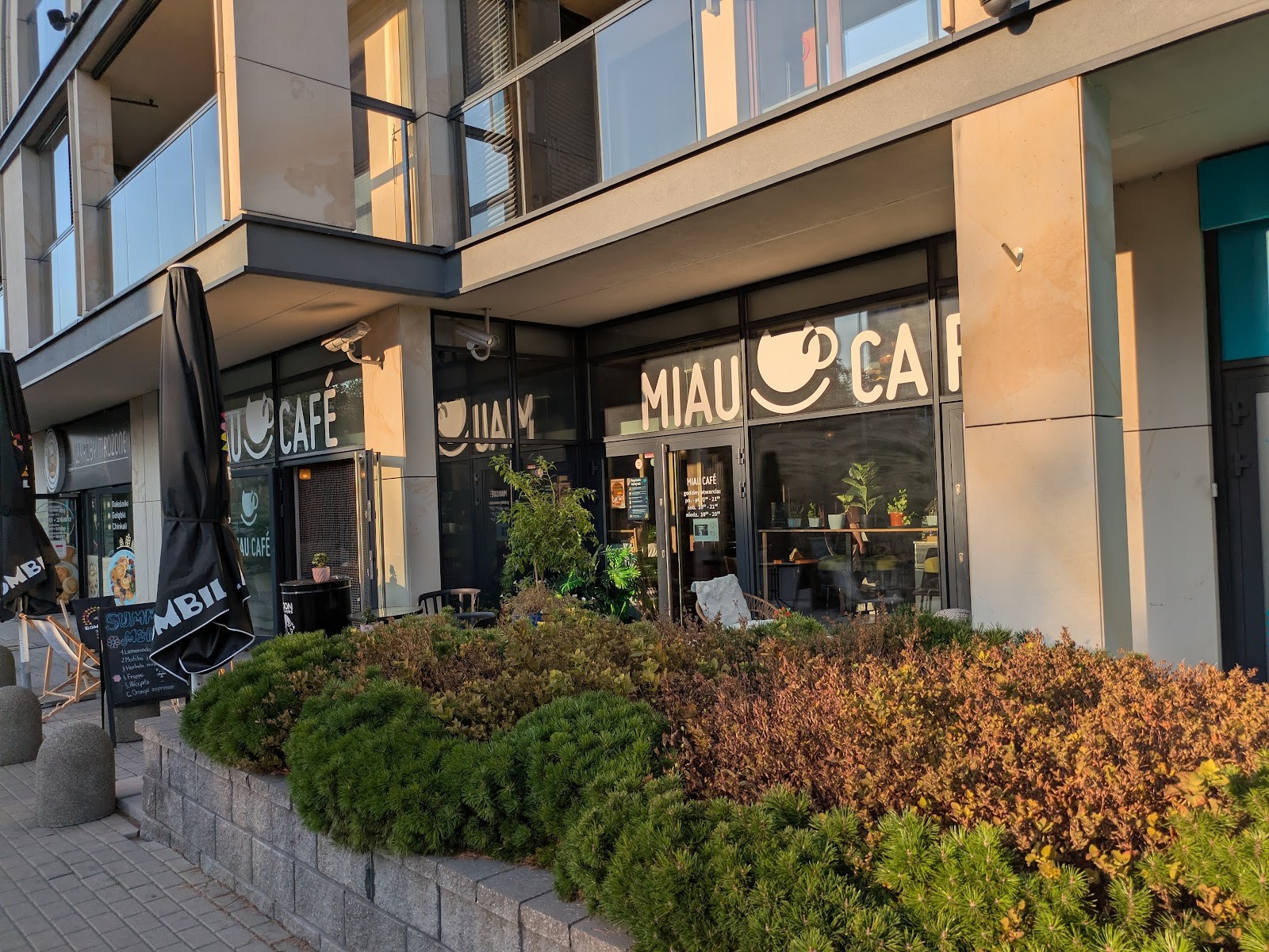 Miau Cafe: the place