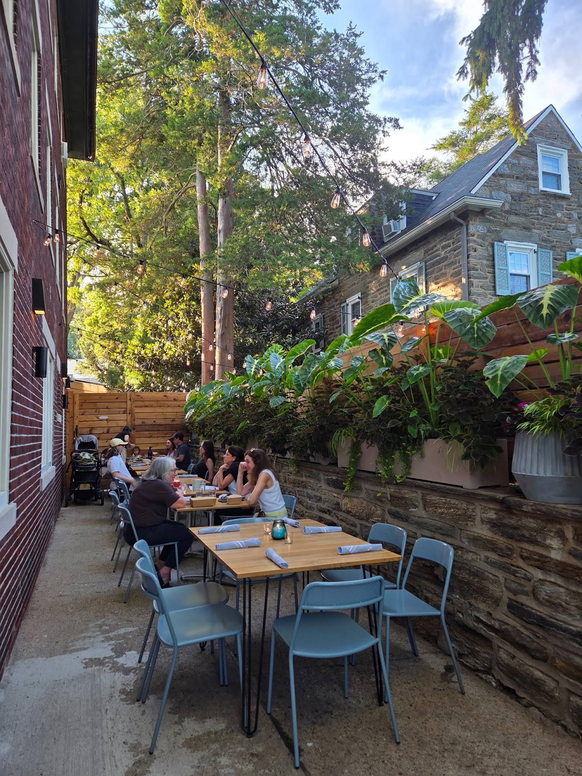 The Blue Warbler Corner & Garden: the place
