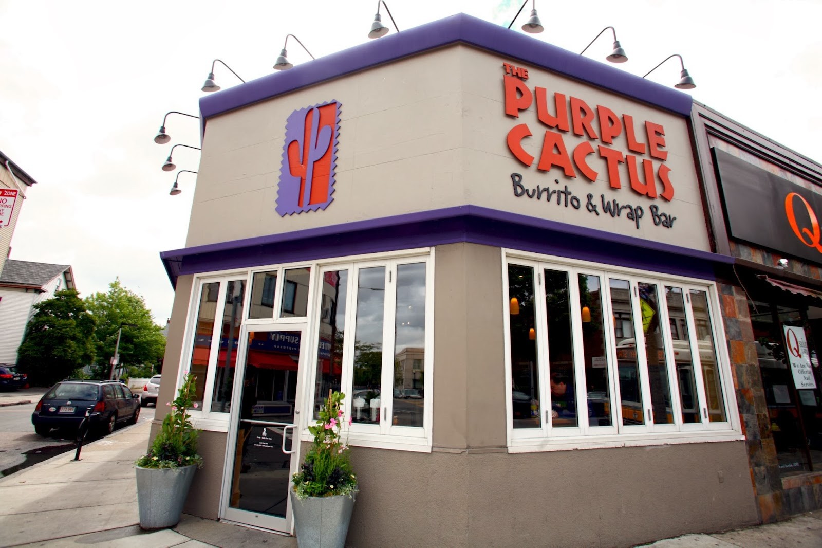 The Purple Cactus: the place