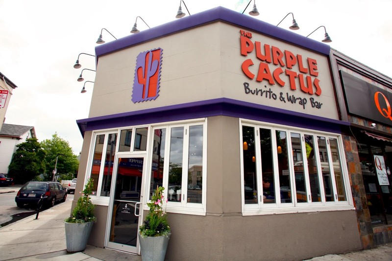 The Purple Cactus: photo