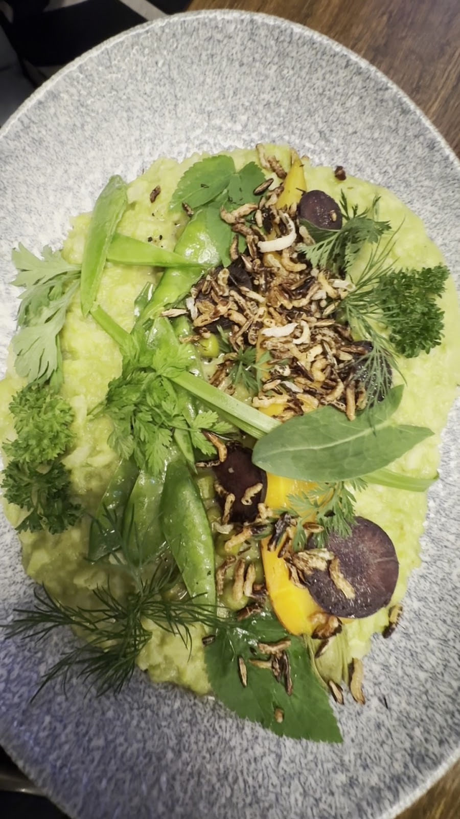 Bollenpiepe Restaurant: food & drinks