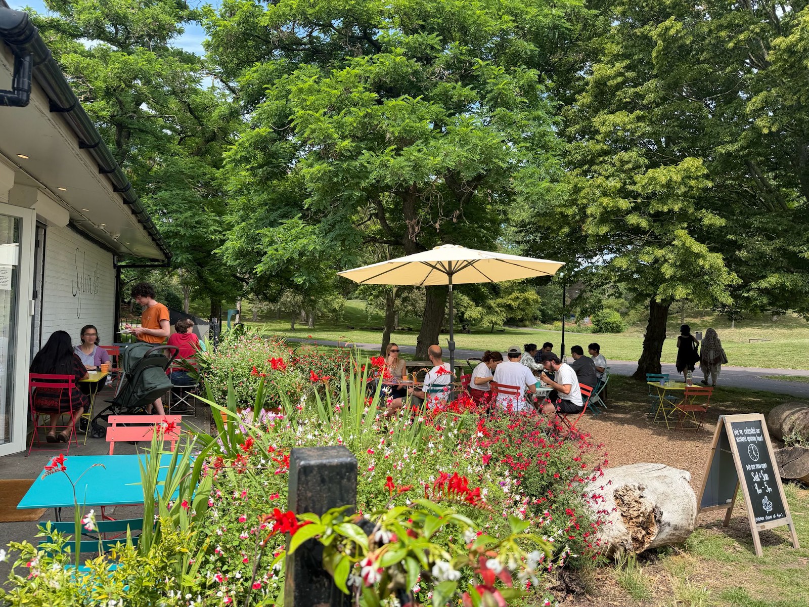 Sylva: the place