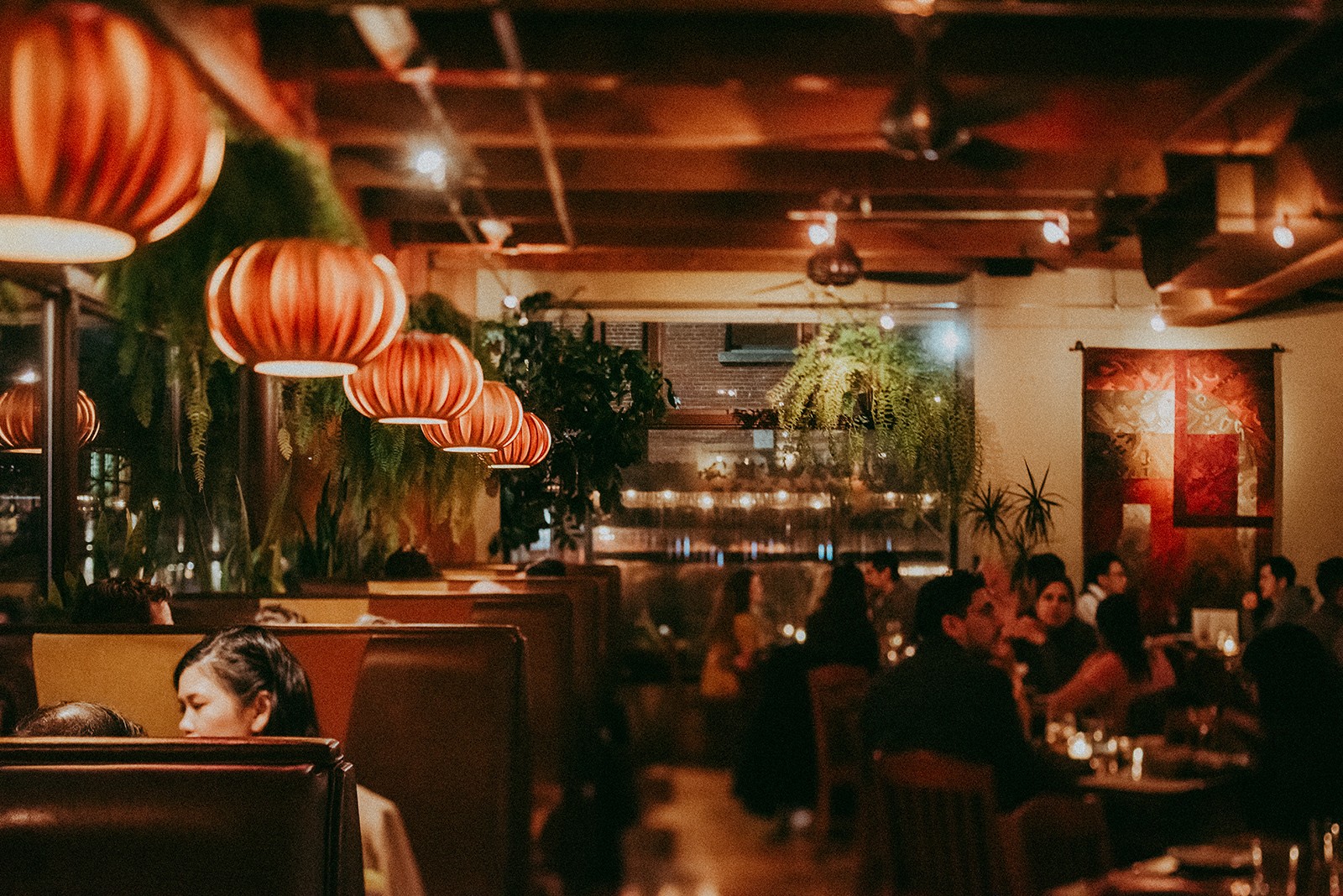 Andina: the place