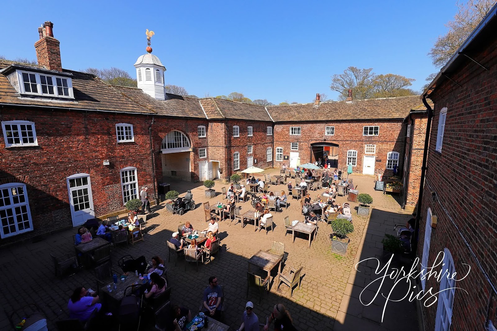 Temple Newsam Tea Room: the place