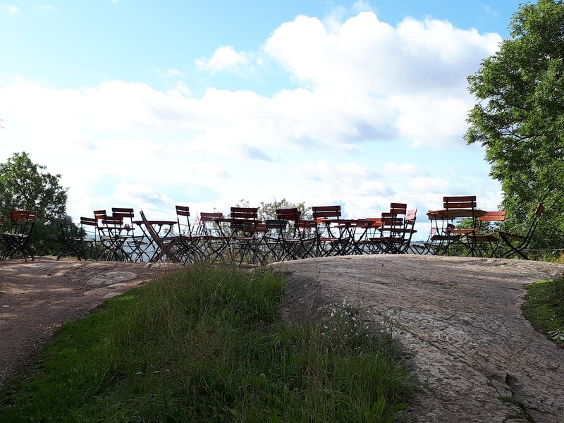 Café Piper: photo 4