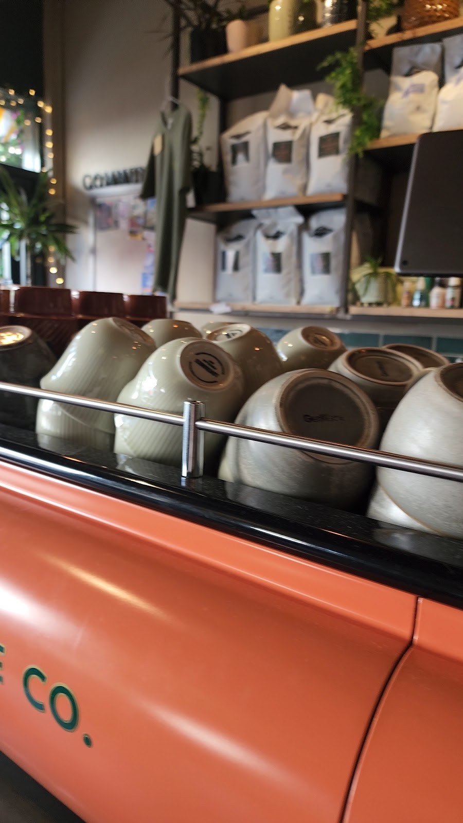 The Botanist Coffee Co.: the place