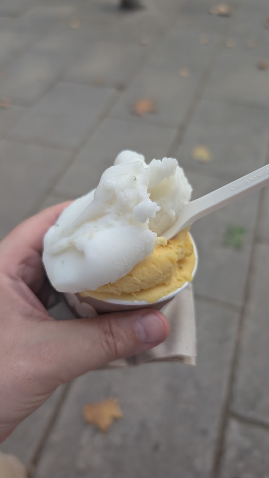 AMMA Gelato: food & drinks