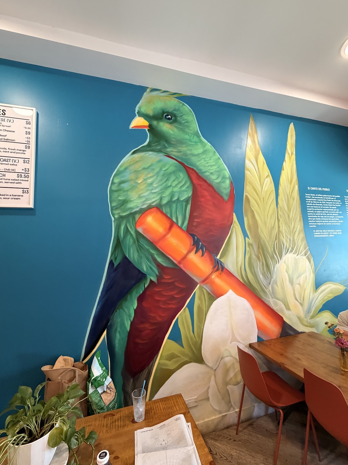 Anticonquista Café (Pilsen): the place