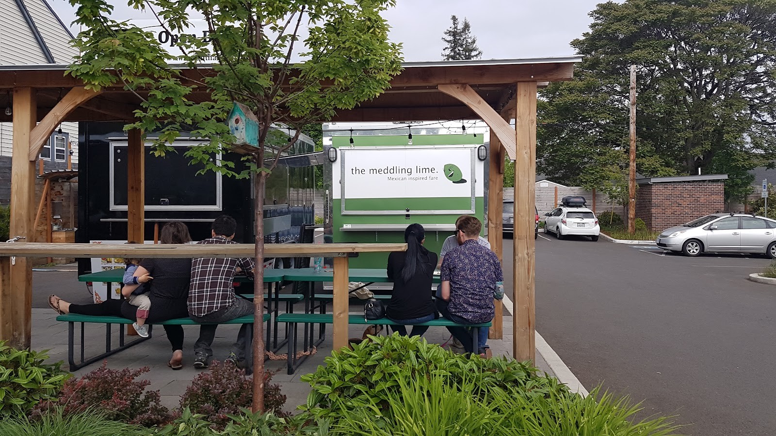 The Meddling Lime: the place