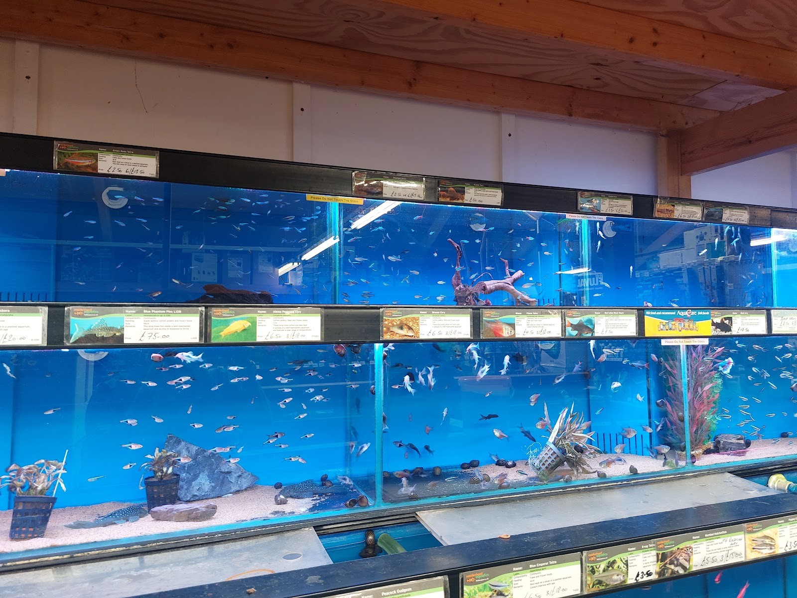 Lower Morden Garden Centre: the place
