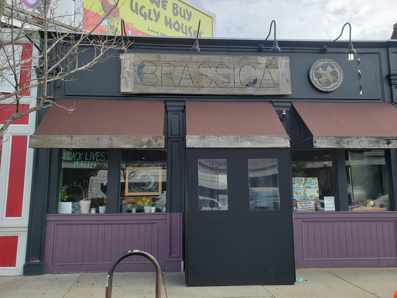 Brassica: the place